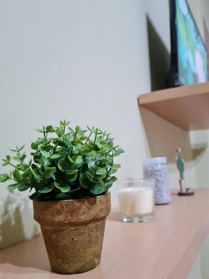 Ex-Block District Charming Studio Apartment With Treeish Sorrounding View! 地拉那 外观 照片